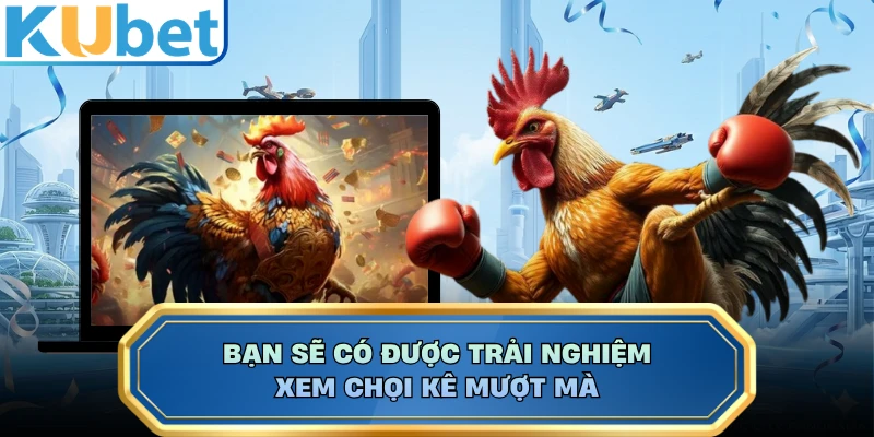 Bạn sẽ có được trải nghiệm xem chọi kê mượt mà